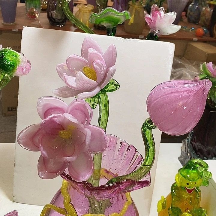 韩***兰夜光花高45厘米宽12