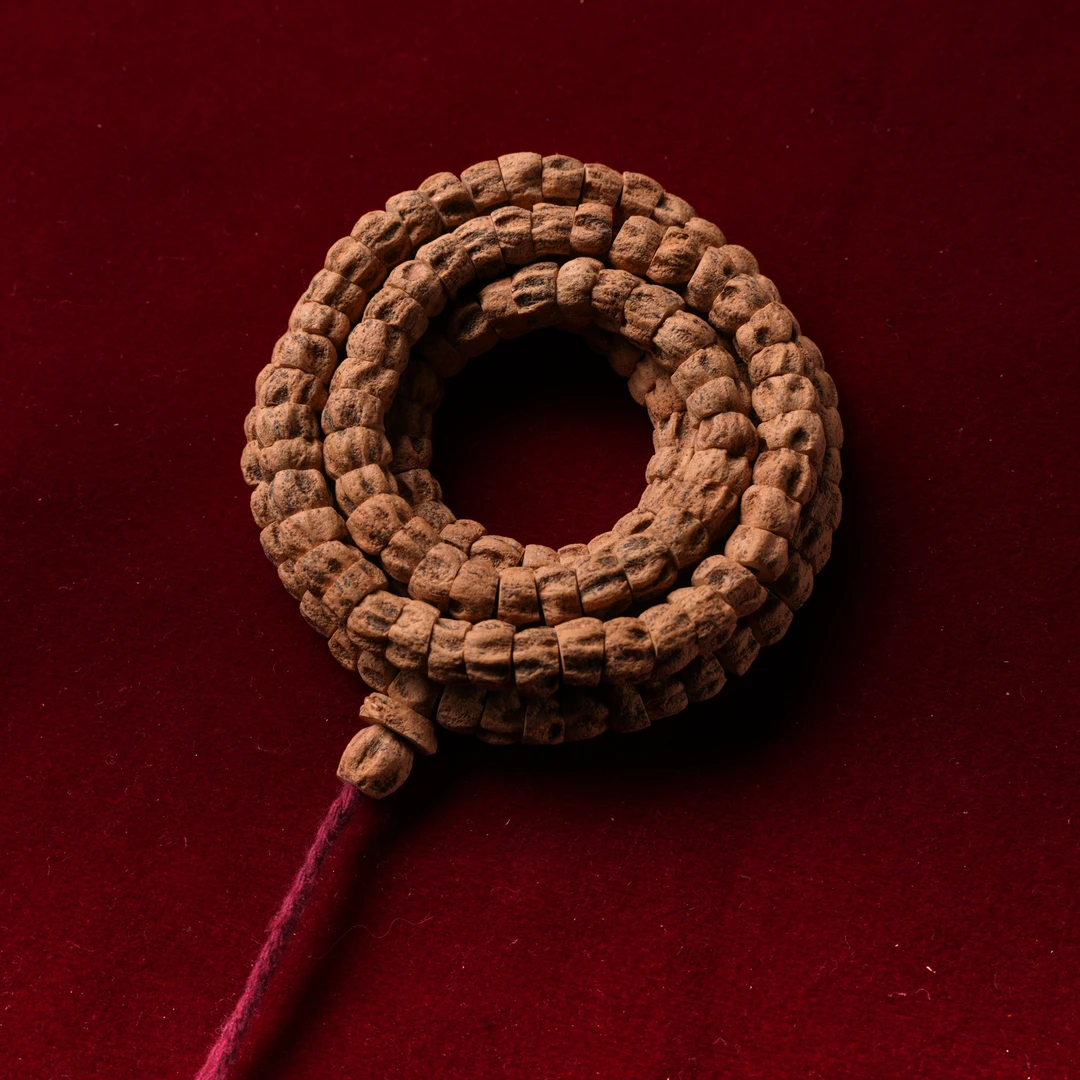 【朝奉堂】柏香籽（编号 C350）天然文玩柏香长串尺寸 8