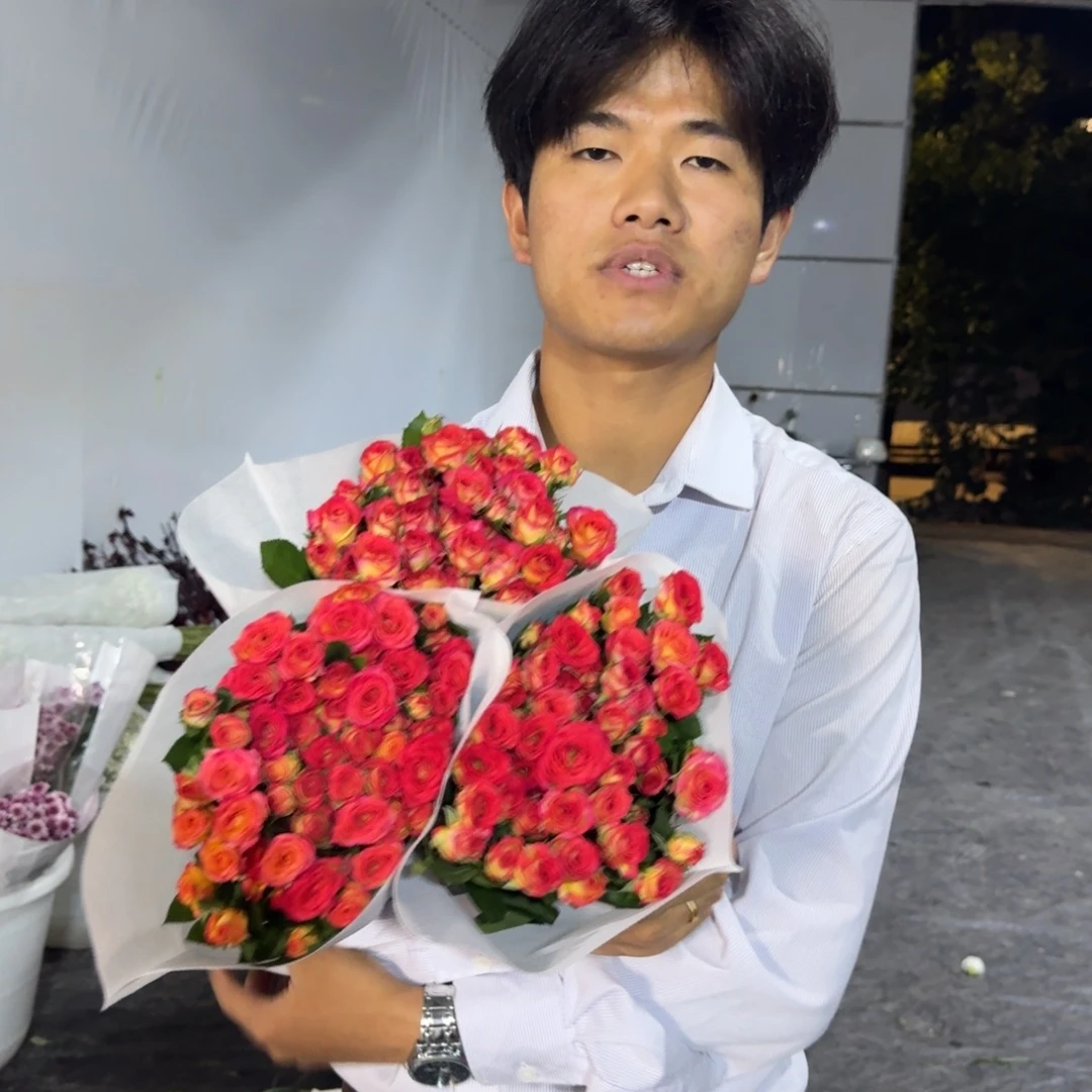 爱丽丝3扎包邮价秒杀