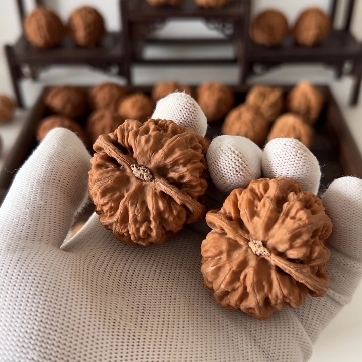 常***挠核桃全品大粗筋无药