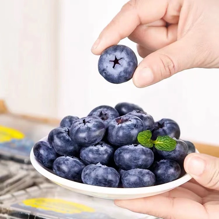 {次日达}云南25花香蓝莓15mm+400g大果 云南蓝莓云南省玉溪市