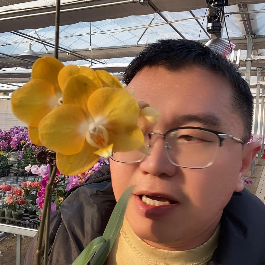 完全开放拉斯维加斯花后