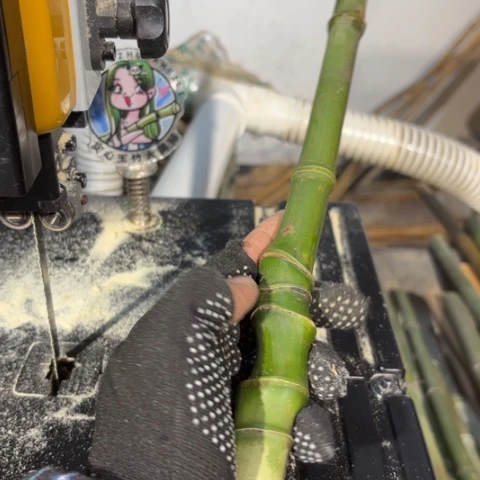 朱***哥实心竹竹竹竹竹竹竹竹竹