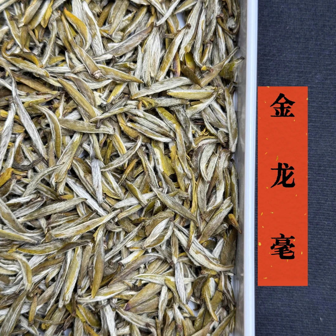 2025年新茶茉莉金龙毫