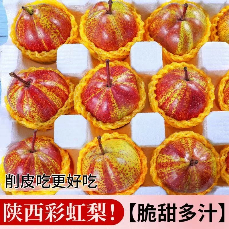 【贵族彩虹梨A 】陕西正宗彩虹梨子新鲜水果当季红梨香梨