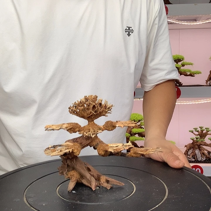 *****莫斯树15哈哈哈哈哈哈哈