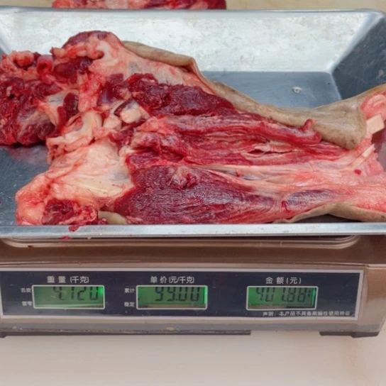 【闪购商品】冷冻保存30天包装河北省