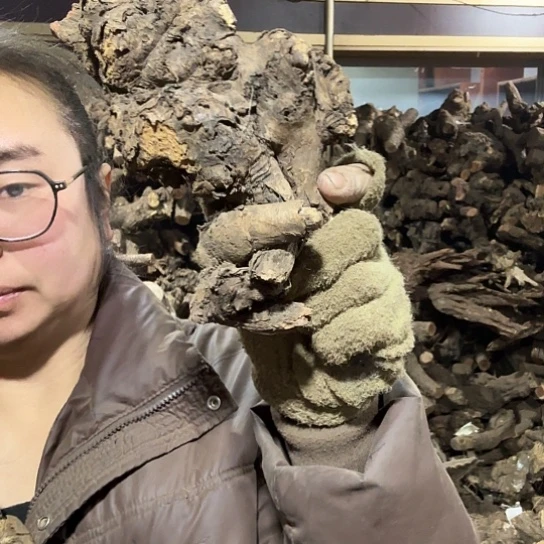 香榧木落**悔火琉璃的故事毛料摆件