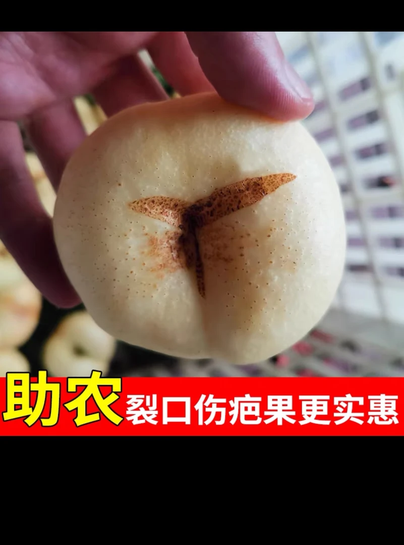 山东蒙阴裂口奶油蟠桃当季新鲜水果脆甜多汁