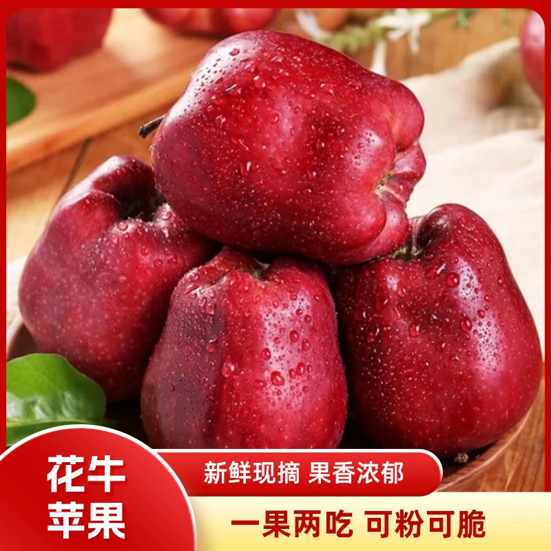 甘肃天水花牛苹果新鲜采摘脆粉两吃当季水果整箱包邮 多仓发货