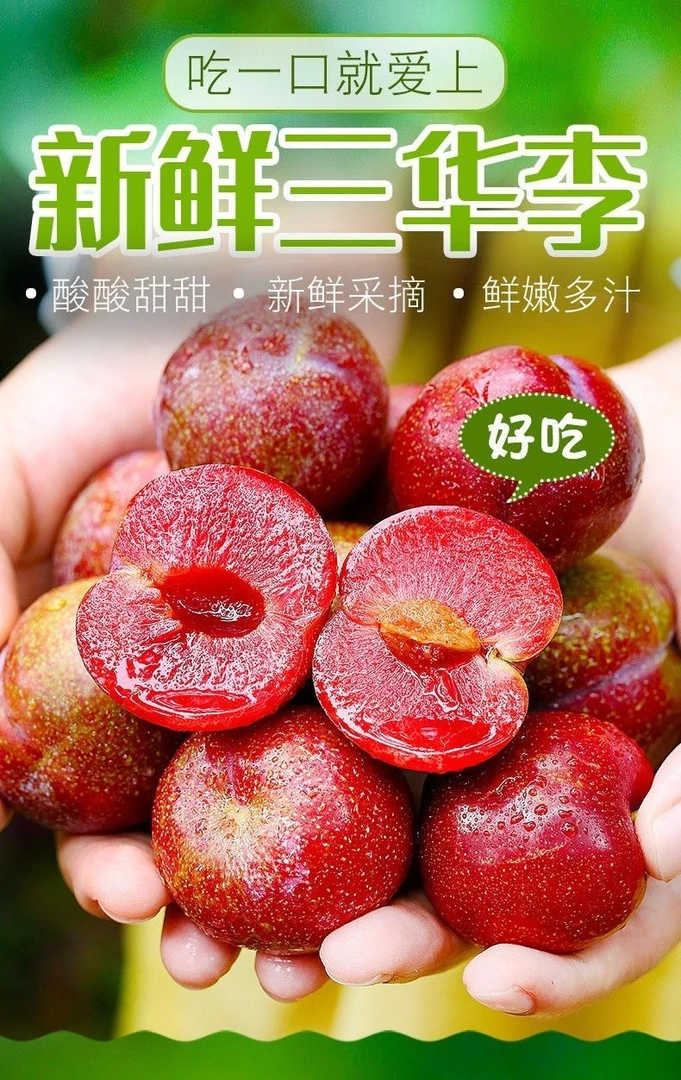正宗云南三华李新鲜水果红心李当季酸脆李子新鲜孕妇水果非钱排李