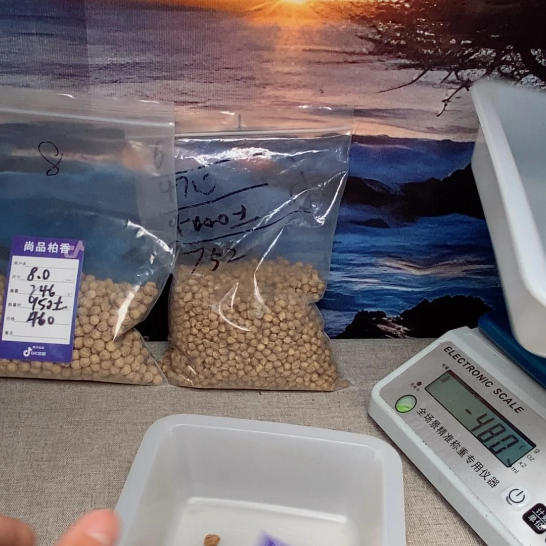 柏香籽/百香籽吊坠慕*