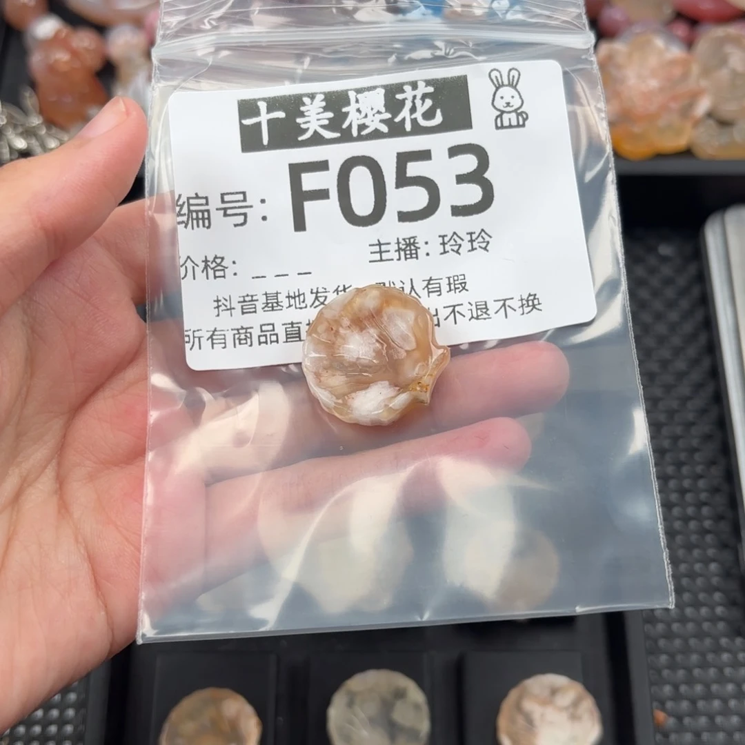 玛瑙/玉髓颈饰未镶嵌人****?