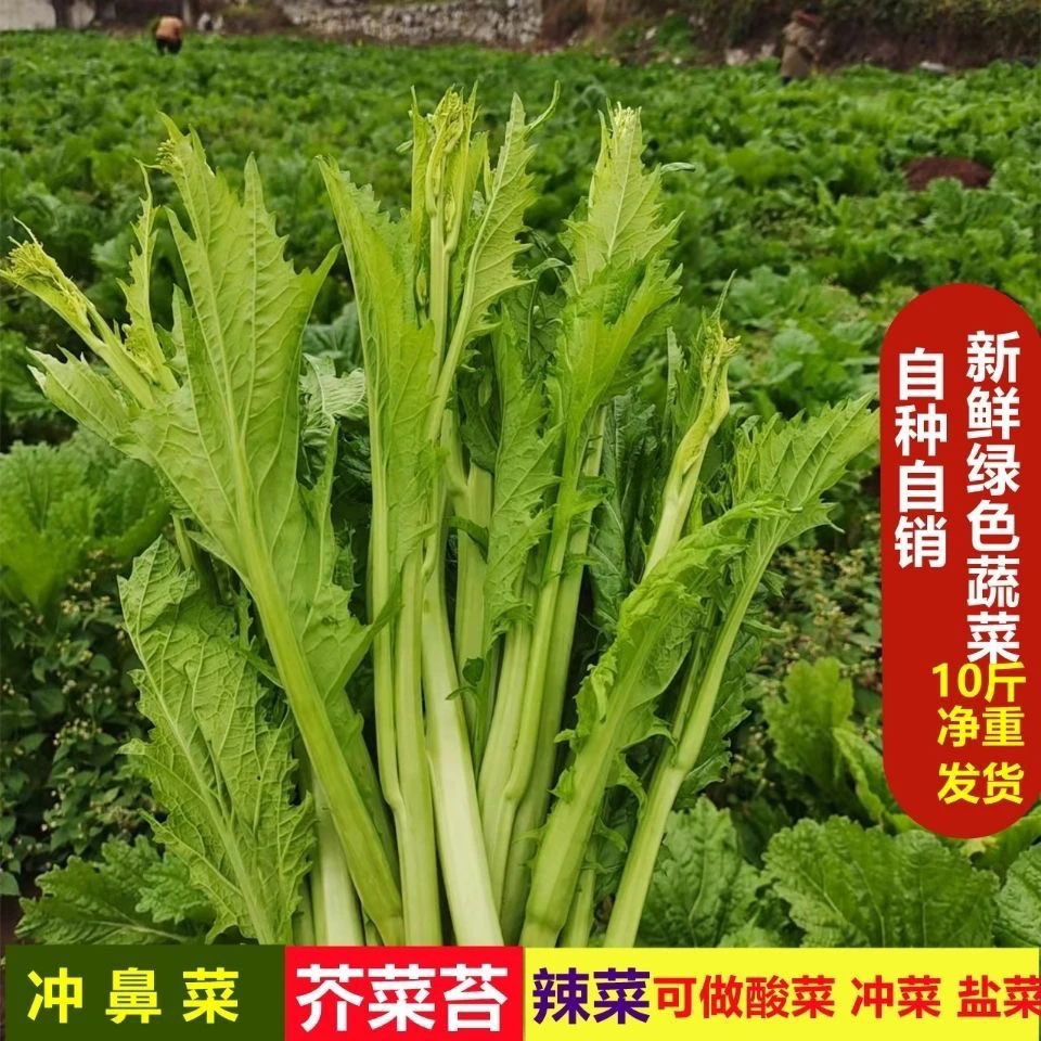 贵州农家新鲜冲菜辣菜酸菜青菜苔