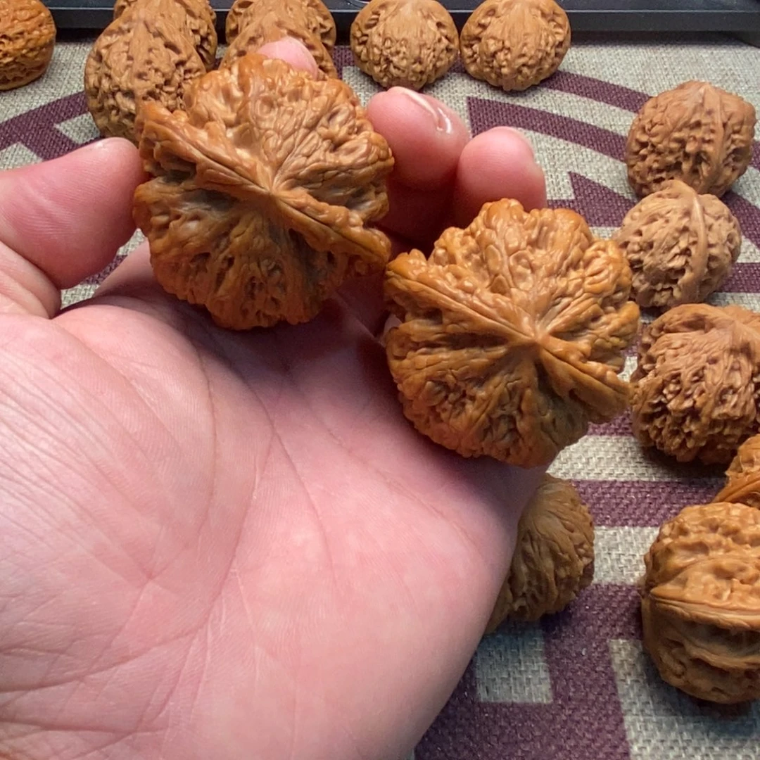 50全品毕业大粗筋文玩