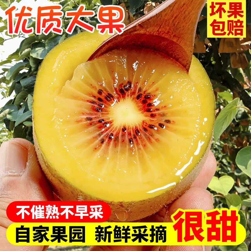 地头兆四川蒲江红心猕猴桃当季新鲜水果奇异果酸甜多汁整箱包邮