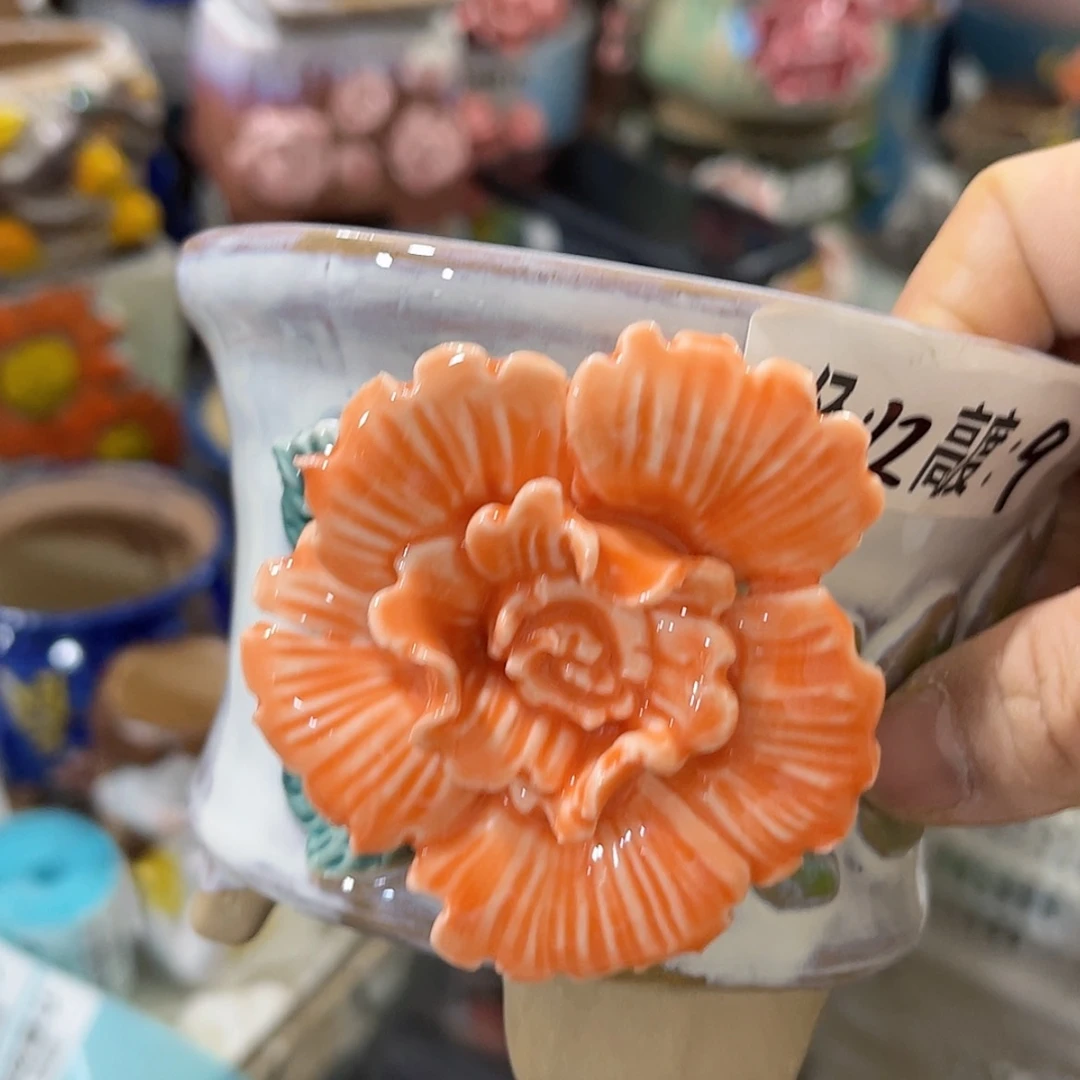 【闪购商品】红陶福利