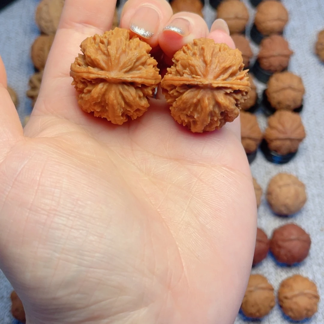 把件文玩核桃暴龙粗筋