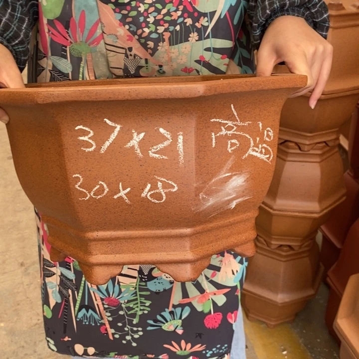 紫砂花盆只顾吃药睡