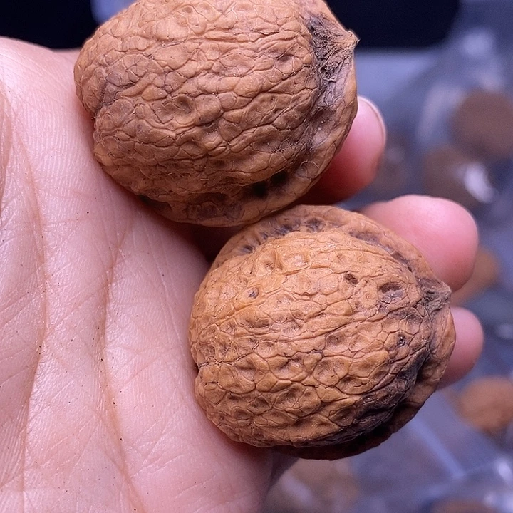 文玩核桃把件   216