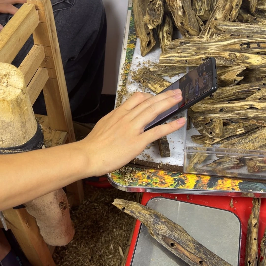 线香奇楠虫漏香65克