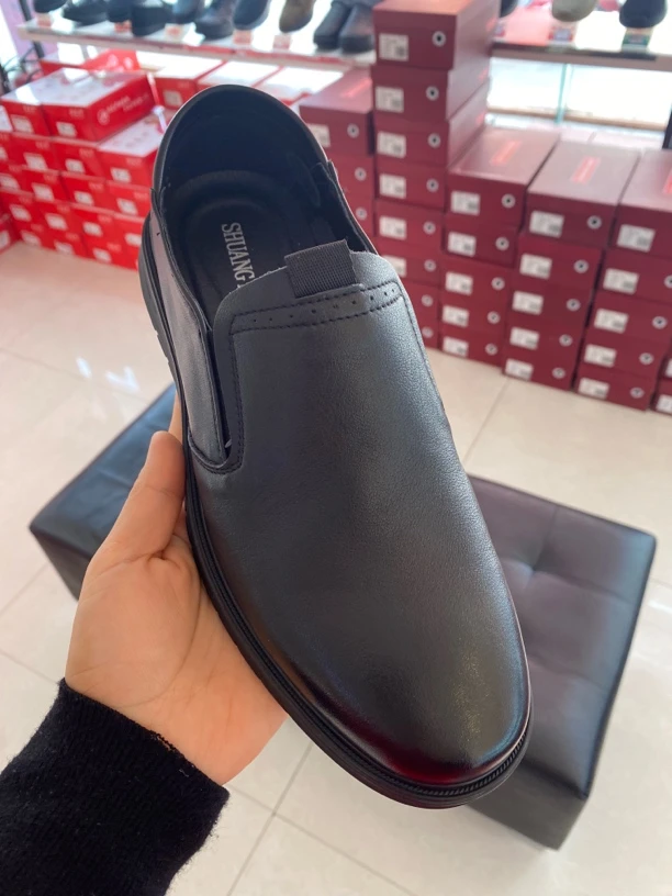 双凤2025春季新款厚底舒适休闲软底一脚蹬男鞋71A-5018