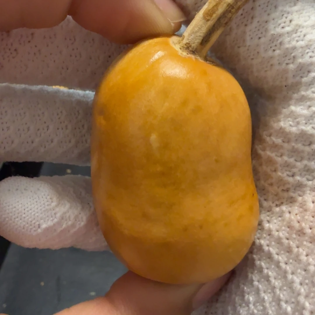 晓***秋66……………………………………