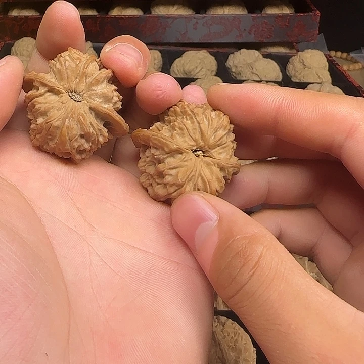 吊坠龙脊菩提啊啊啊啊啊啊啊啊二爷帽