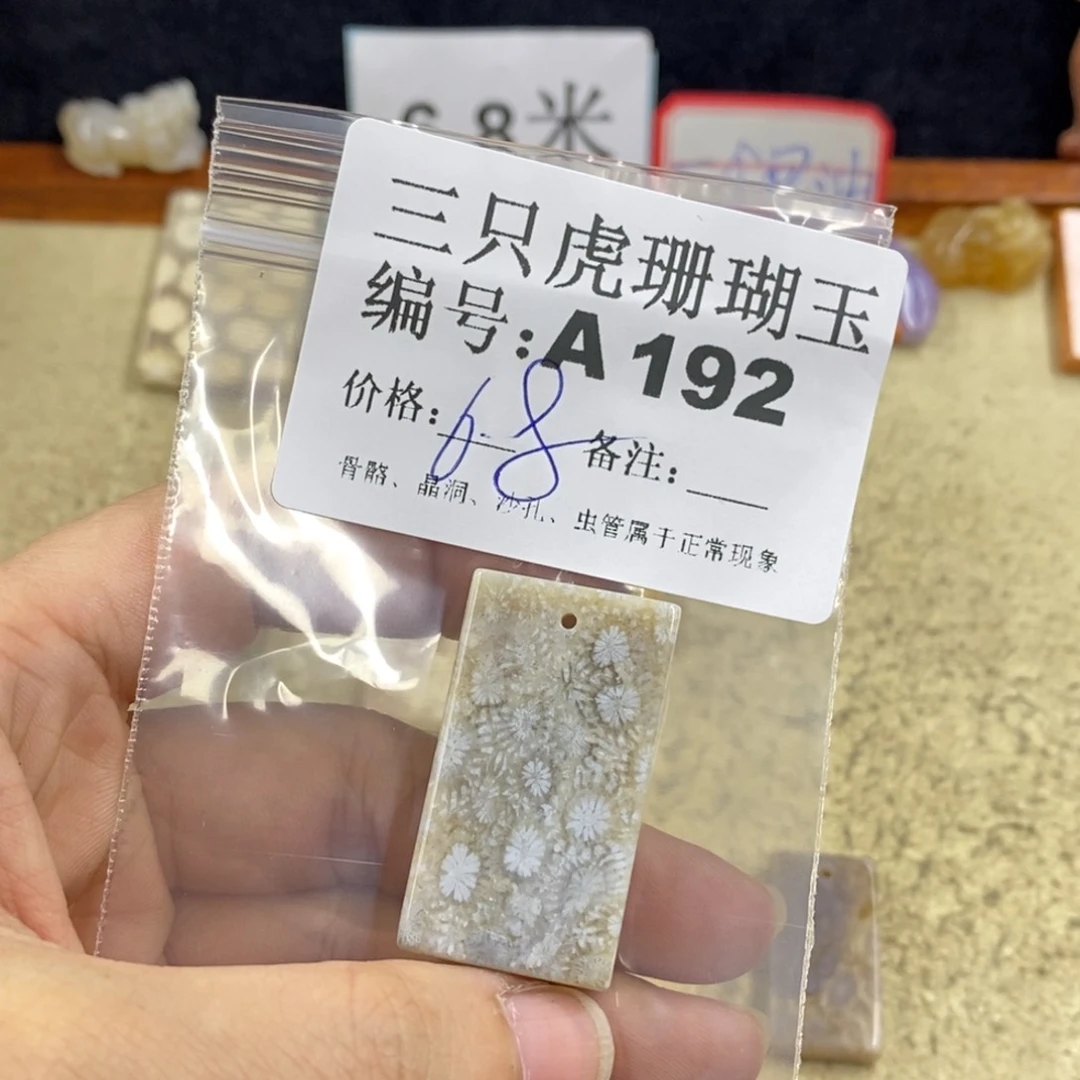 硅化珊瑚（珊瑚玉）1未镶嵌芯*