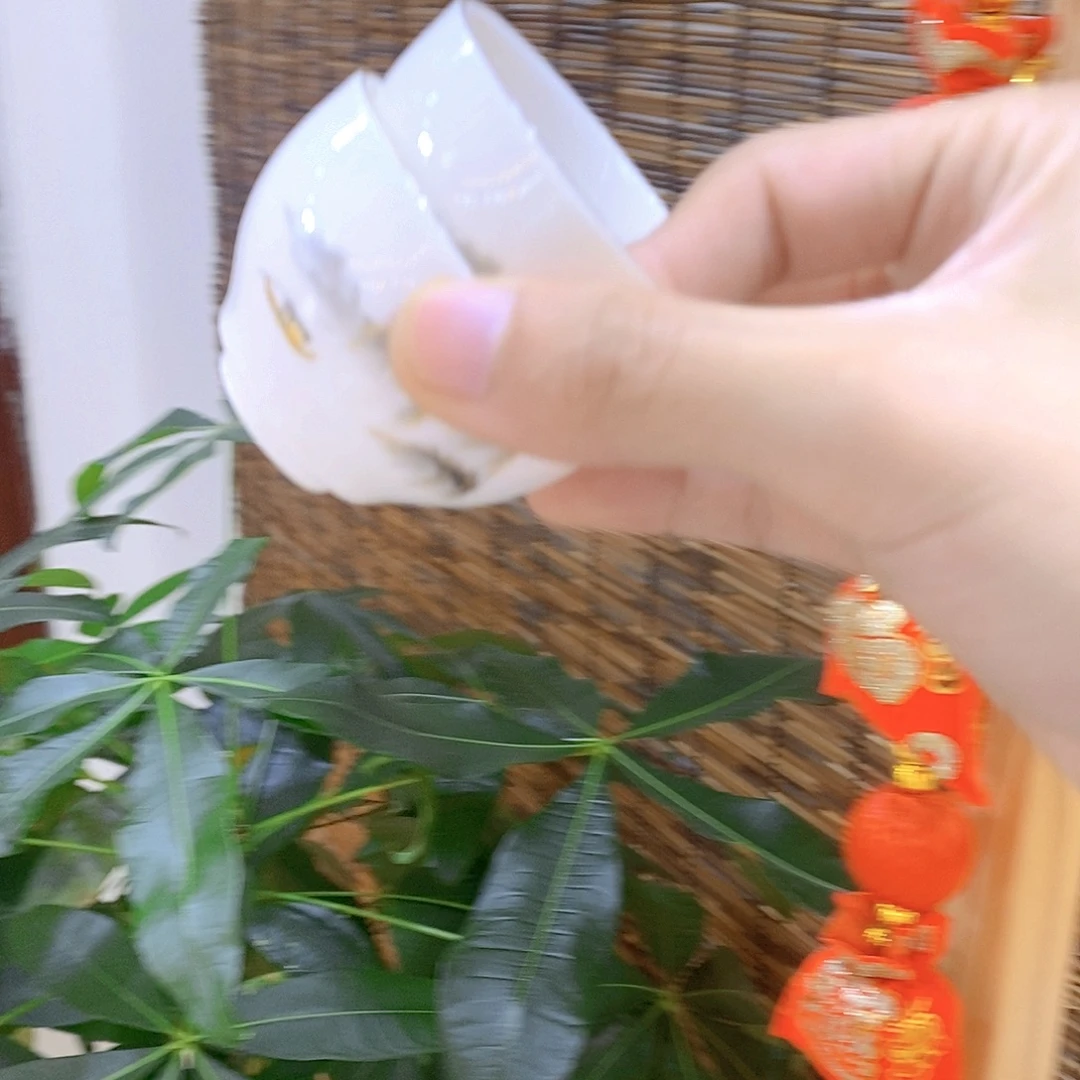 星****羊脂玉瓷茶具套装