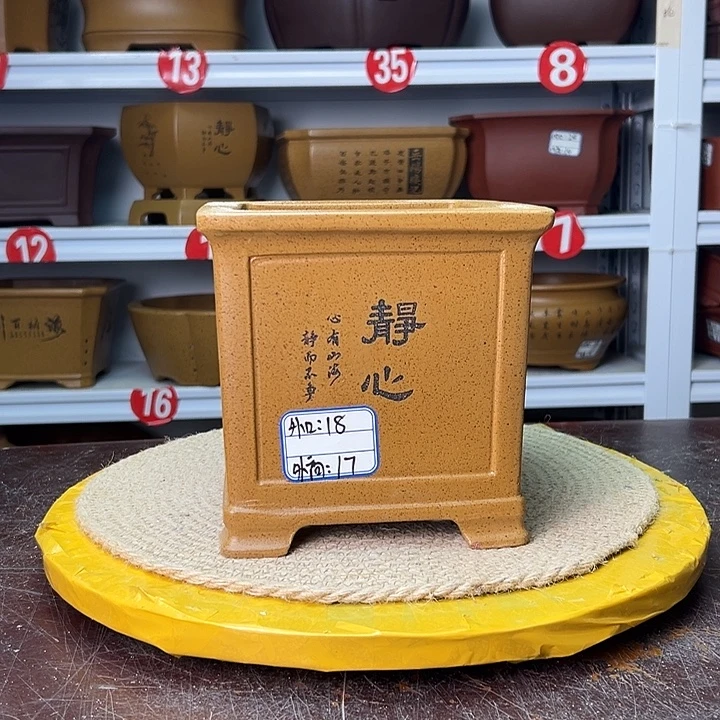 紫砂花盆蛇年大吉