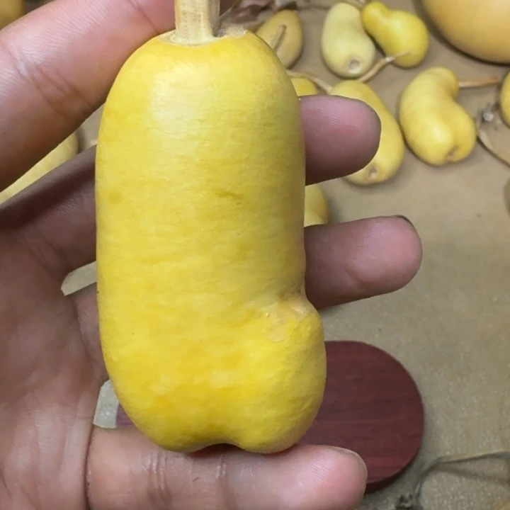 弓***張葫芦1111111111111