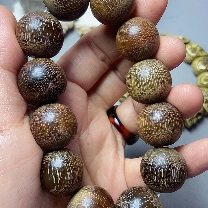 大果紫檀（缅甸花梨）