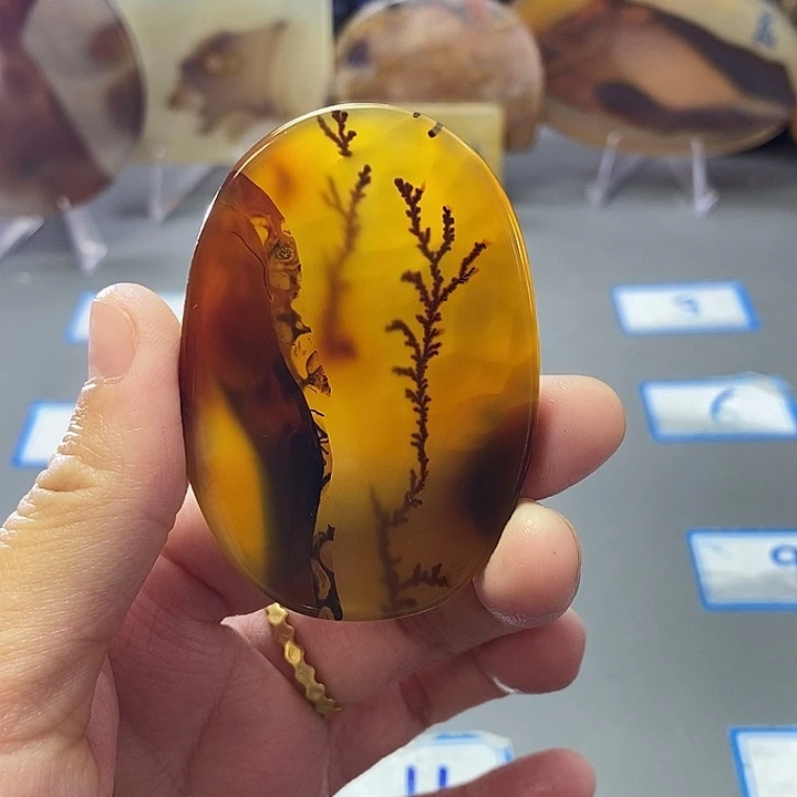 玛瑙/玉髓未镶嵌珠宝半成品