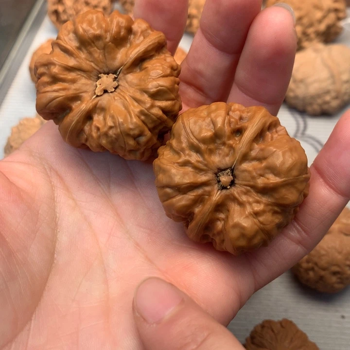 别***丨文玩核桃把件蛤蟆头