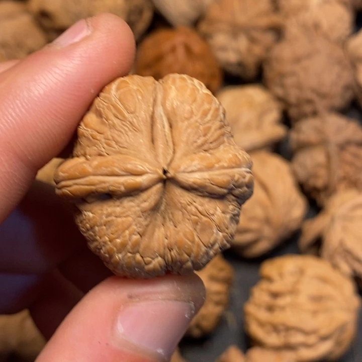 文玩核桃吊坠好*！文玩核桃异形单只