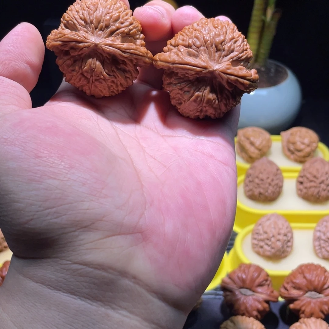 文玩核桃把件48全品大尺寸50克卡姿兰白狮子