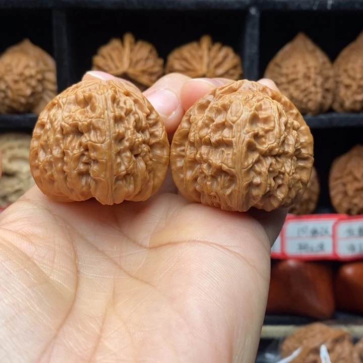 白狮子头40尺全品福利