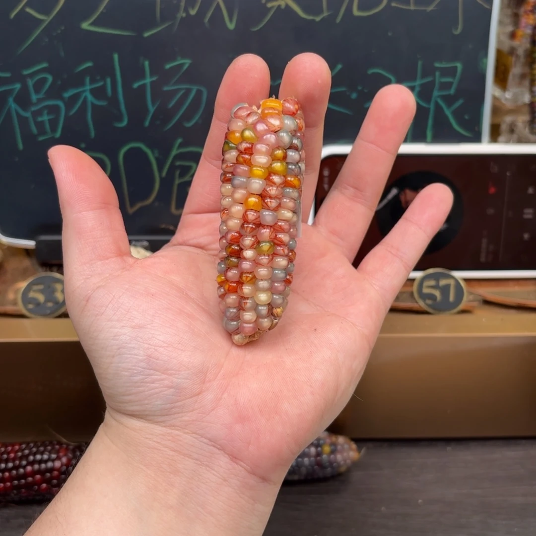 柏香籽/百香籽吊坠赫****粒