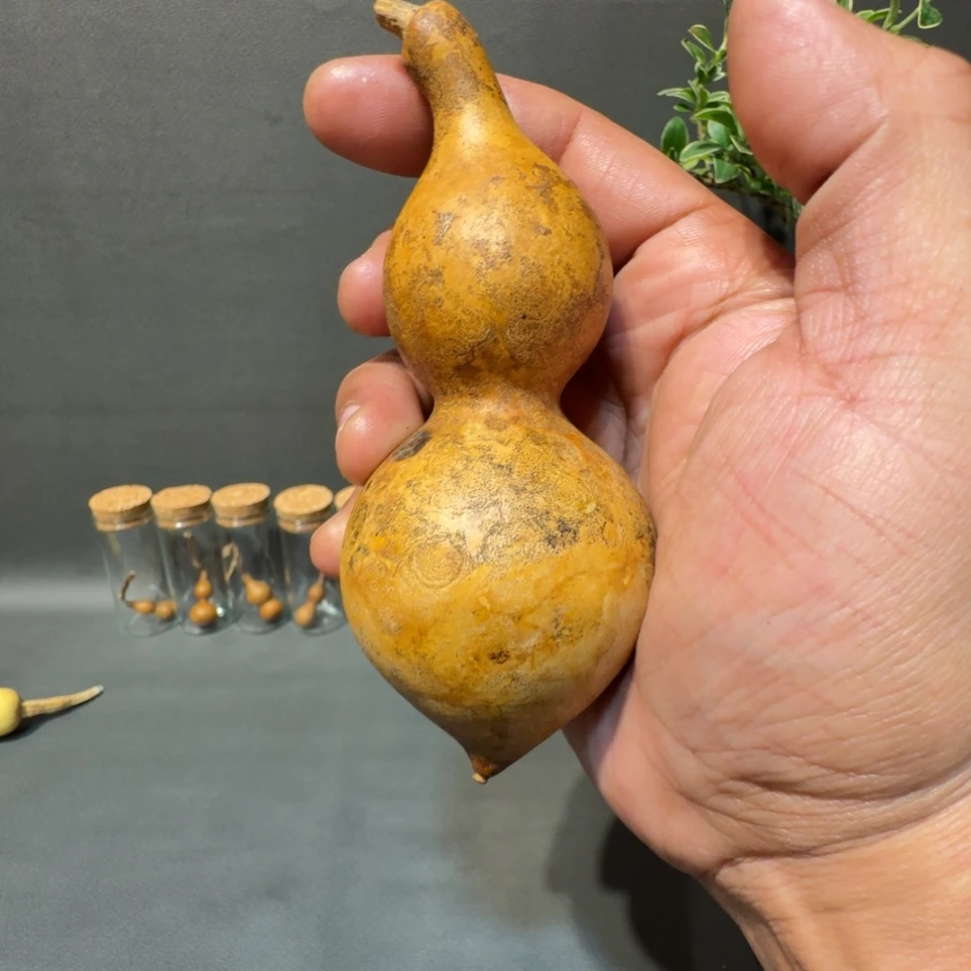 清***来嘎嘎嘎嘎嘎嘎嘎嘎嘎