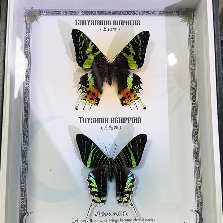 日月同辉，春秋不老