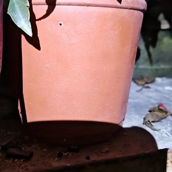 保温箱零度之下到零下5度必拍