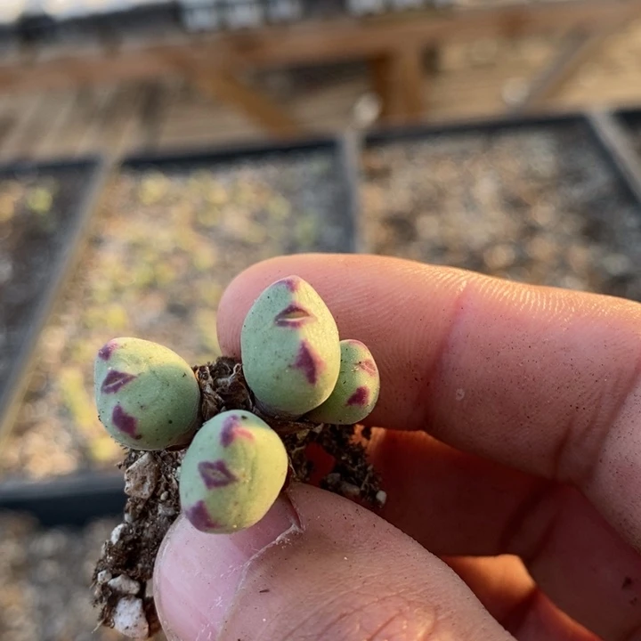 7108一个一个一个