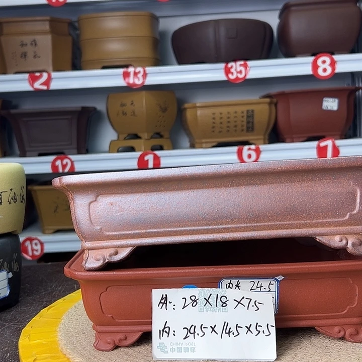 花盆紫砂蛇年大吉