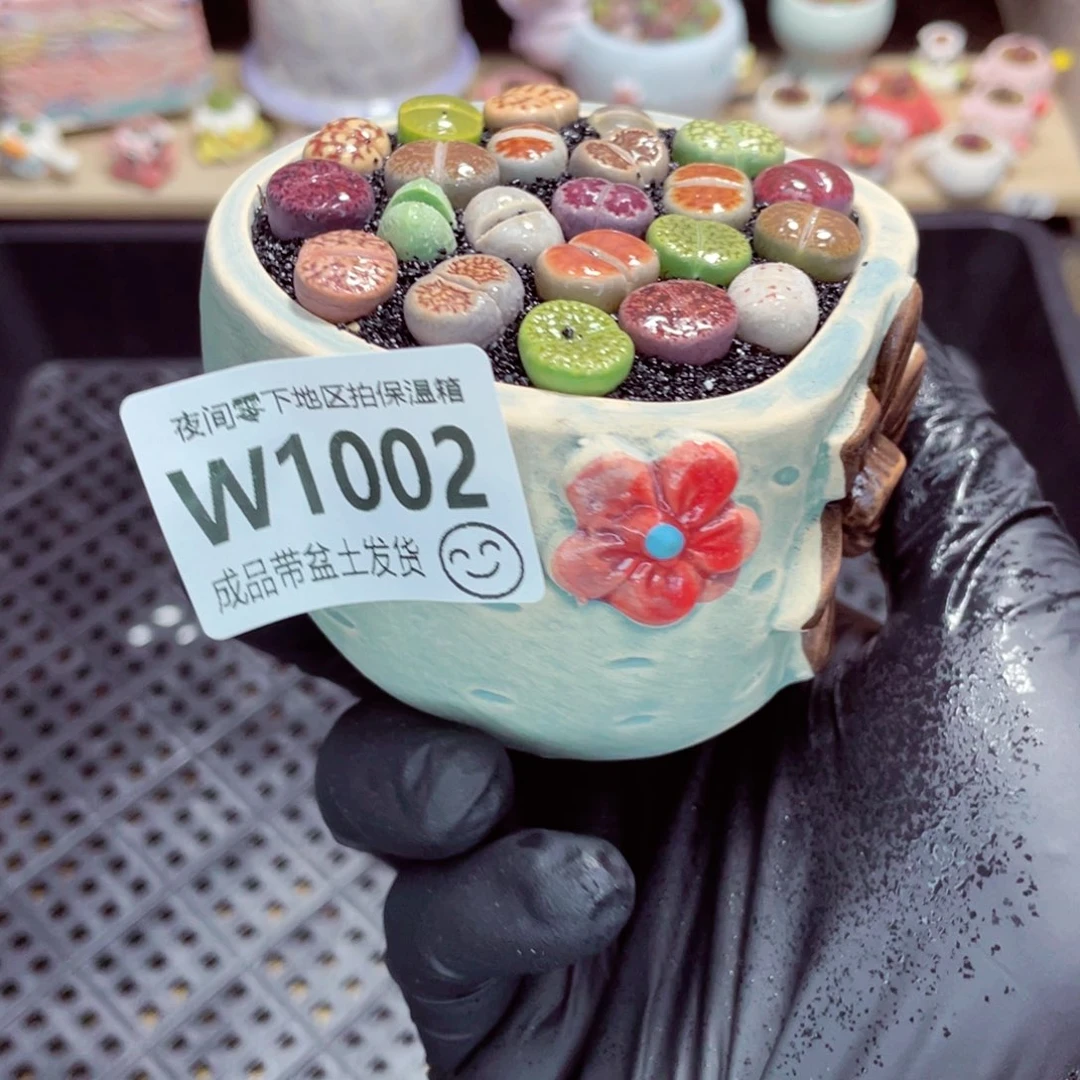 夜间零下地区拍保温箱w1002