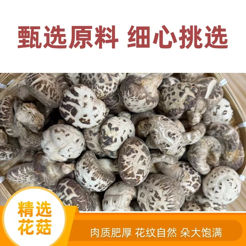 肉厚 剪根干花菇