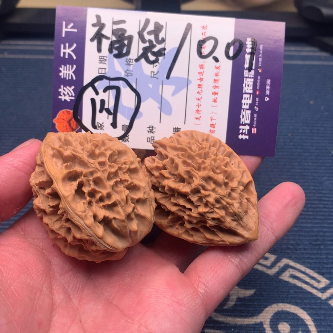 ?***✨招财树585588888888888