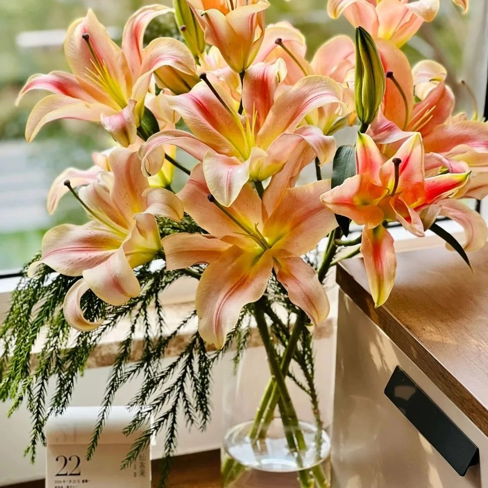 一见钟情香水百合 云南鲜花 任意两单包邮 生鲜产品拒收不售后
