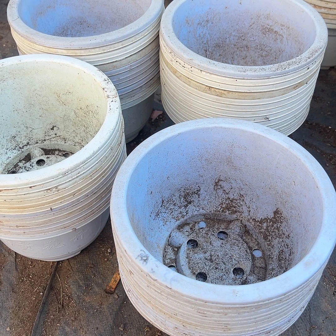 塑料富贵花开福利12个口径21