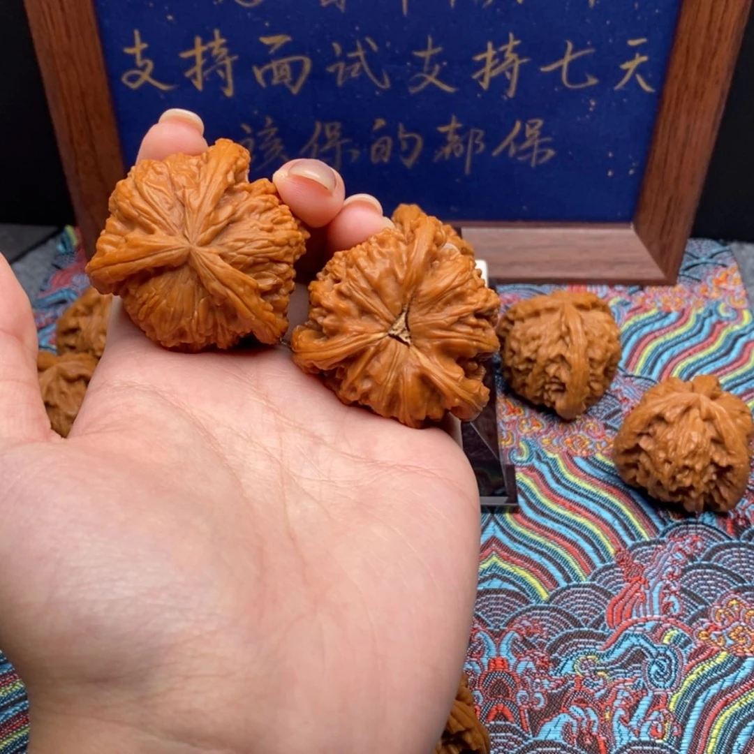 【闪购商品】ℳ***人白狮